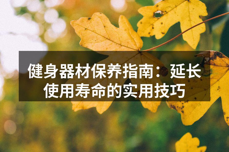 健身器材保养指南：延长使用寿命的实用技巧