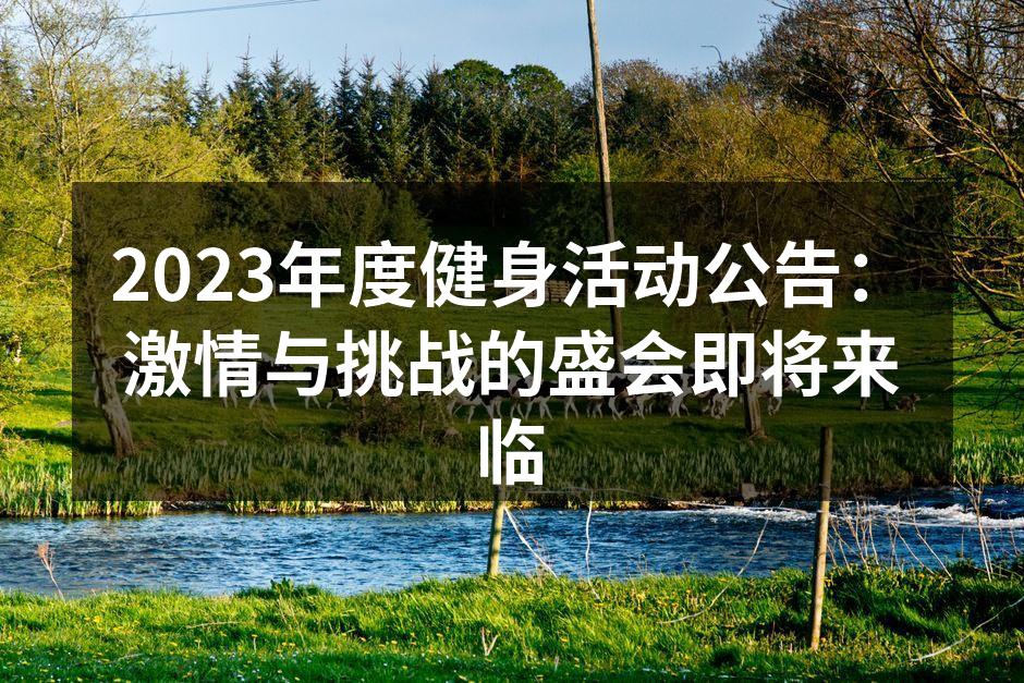 激情四溢的健身活动现场