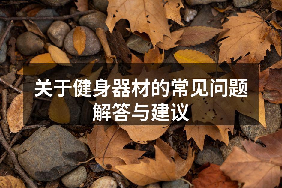 多种健身器材的展示
